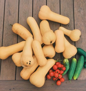 Processed with VSCO with g6 preset