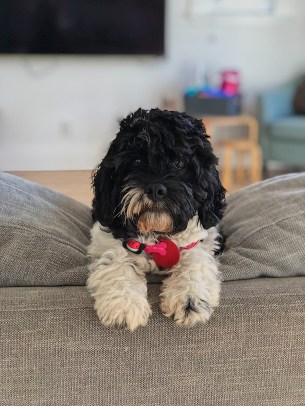 72EC0EDB-B9A4-437F-9DC4-86BBFD152A6E