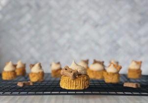 Processed with VSCO with g6 preset